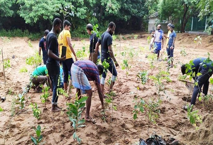 Miyawaki Method Plantation in Bihar-Bihar Aaptak