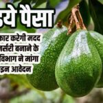 Avocado Nursery apply in Bihar under Agriculture Department-Bihar Aaptak